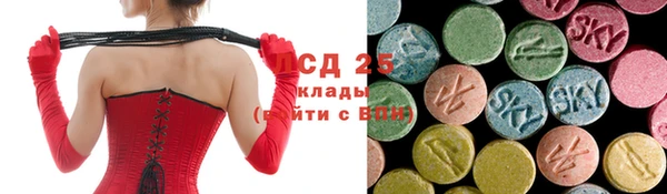 PSILOCYBIN Алексин