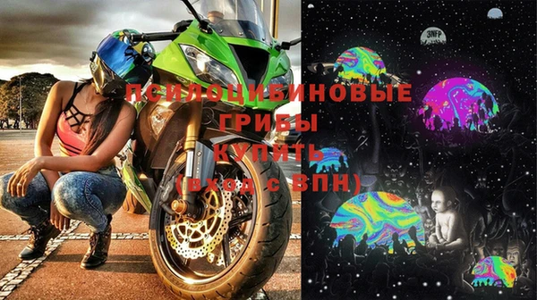 твердый Алексеевка