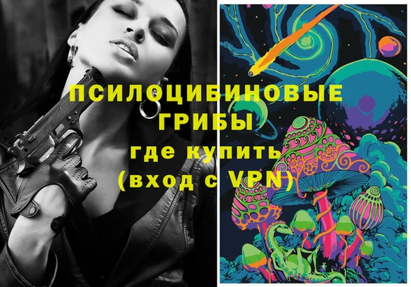 твердый Алексеевка