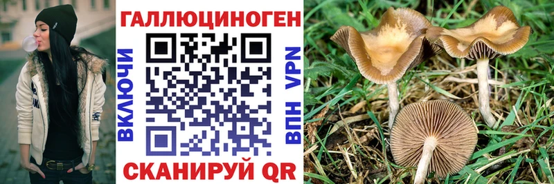 Галлюциногенные грибы MAGIC MUSHROOMS Краснообск