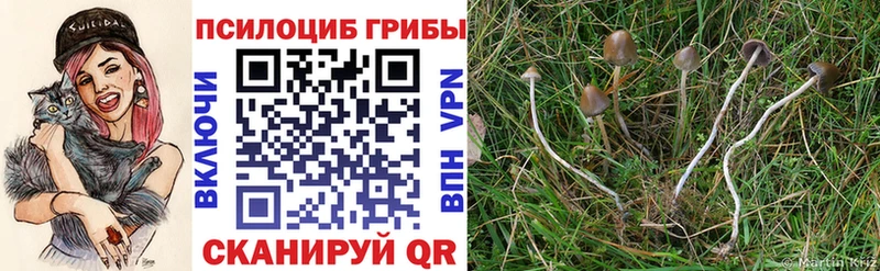 Галлюциногенные грибы Cubensis  blacksprut зеркало  Краснообск 